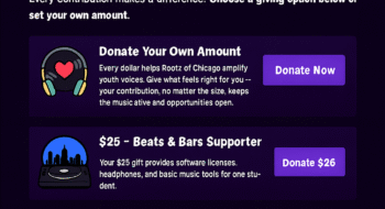 donation_levels donation_levels